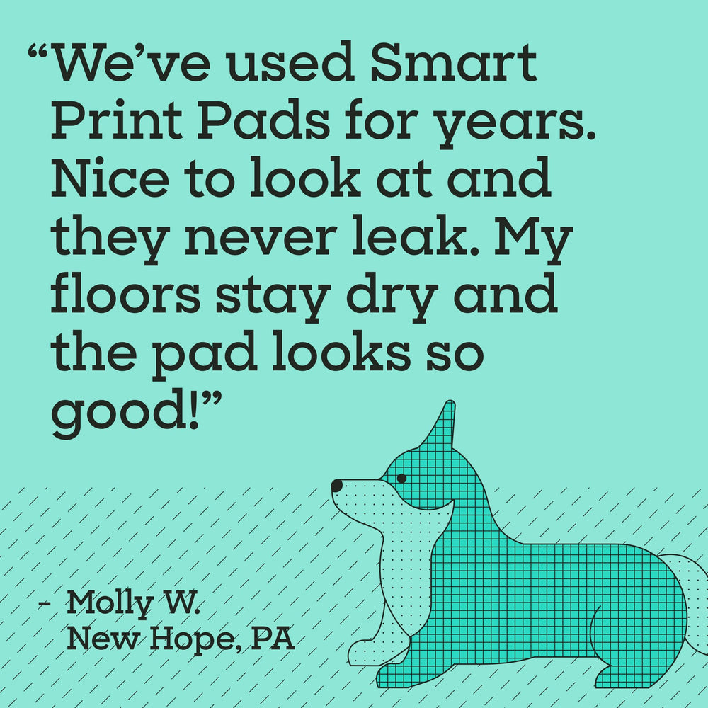 Pet Life Unlimited Smart Prints XL, fabricadas en Estados Unidos para calidad constante.