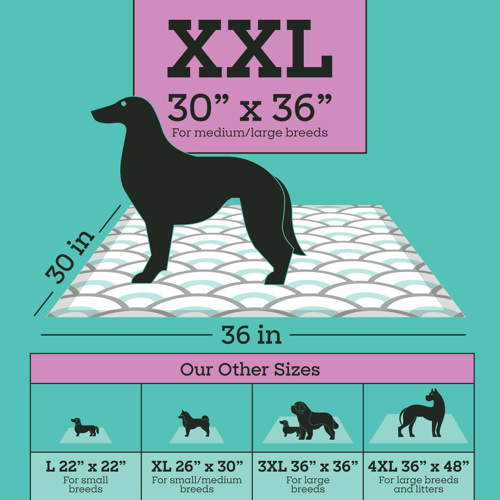 Pet Life Unlimited Smart Prints XXL: tamaño XXL y 32 unidades para entrenamiento.