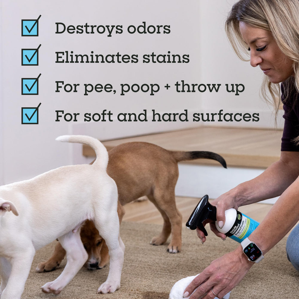 Pet Life Unlimited SuperFoam Spray, dos modos de limpieza para superficies y telas.