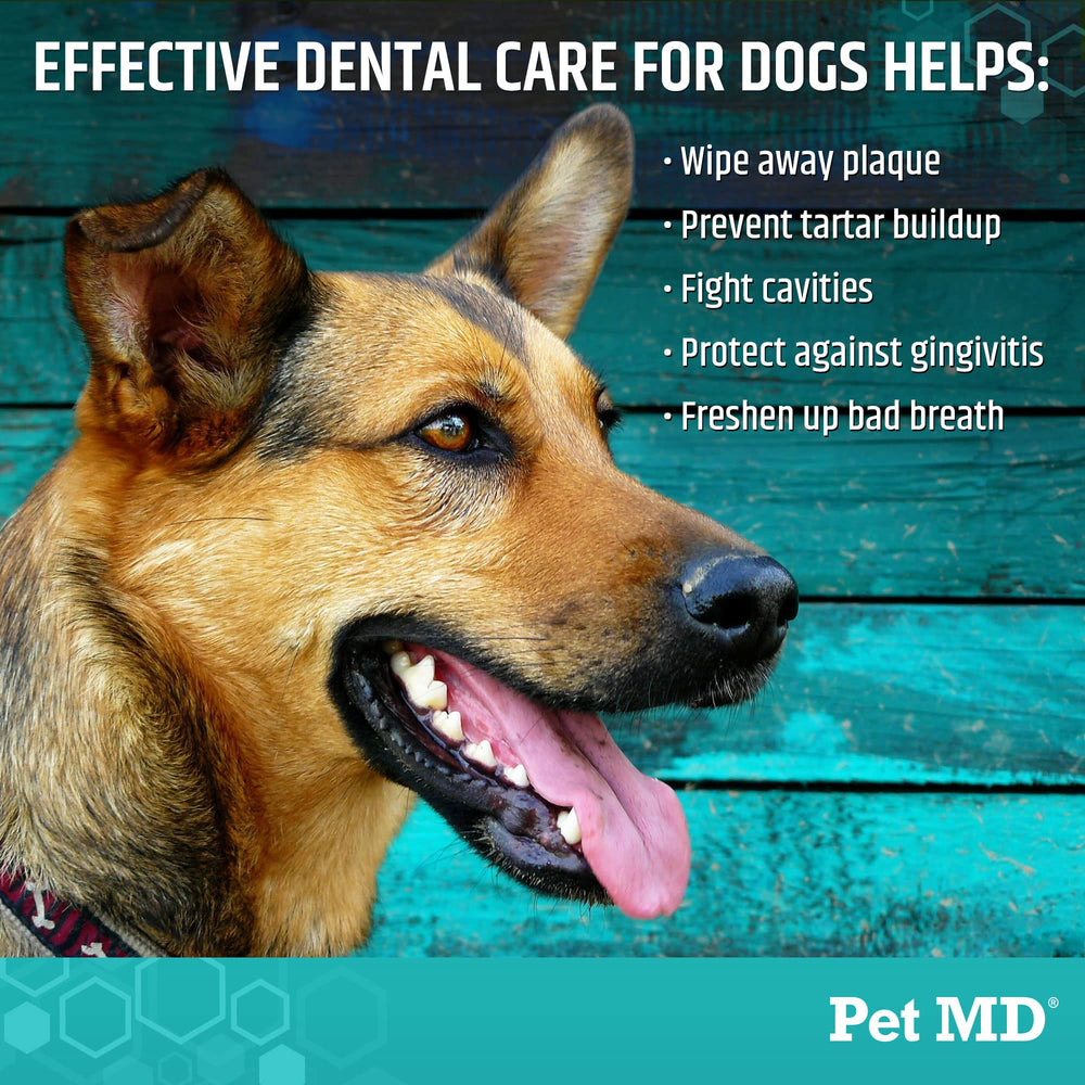 Aliento de manzana y menta con Pet MD para perros.