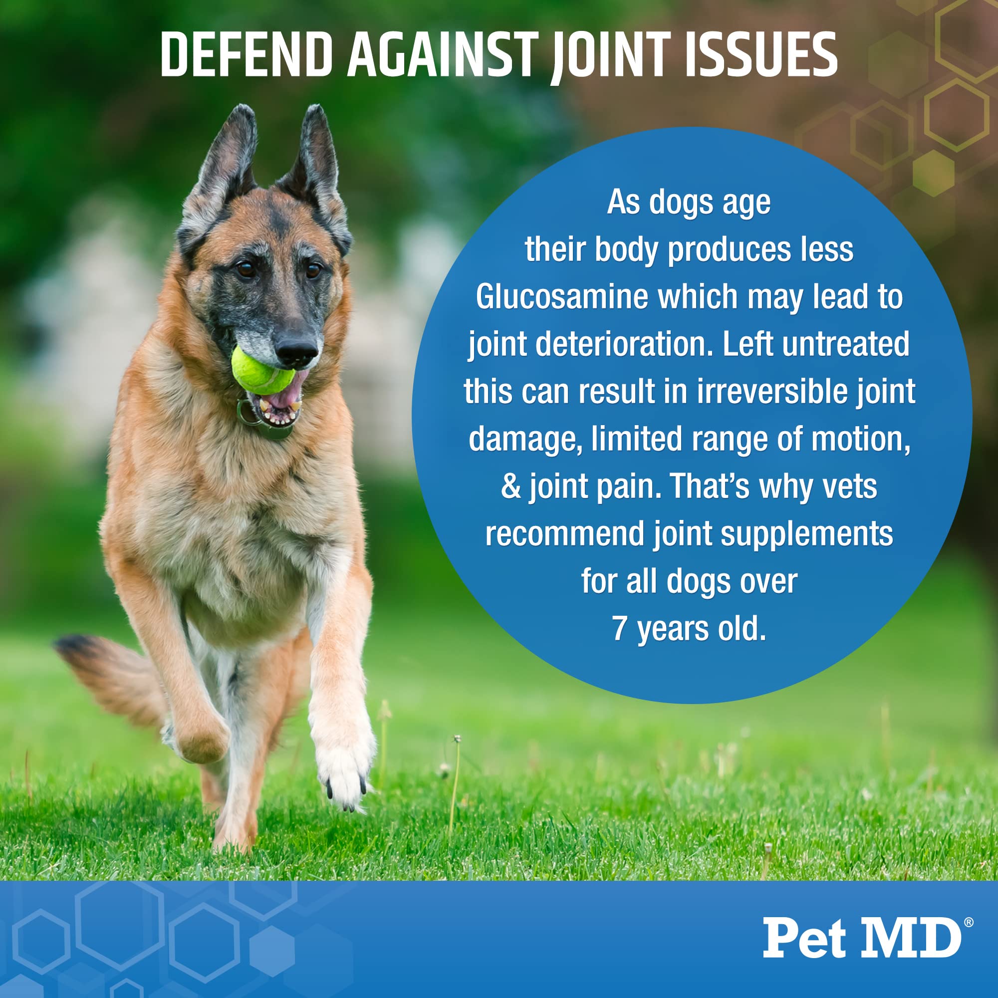 Pet MD Glucosamina para perros: sabor bacon y apoyo a la flexibilidad.