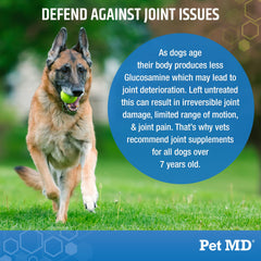 Pet MD Glucosamina para perros: sabor bacon y apoyo a la flexibilidad.