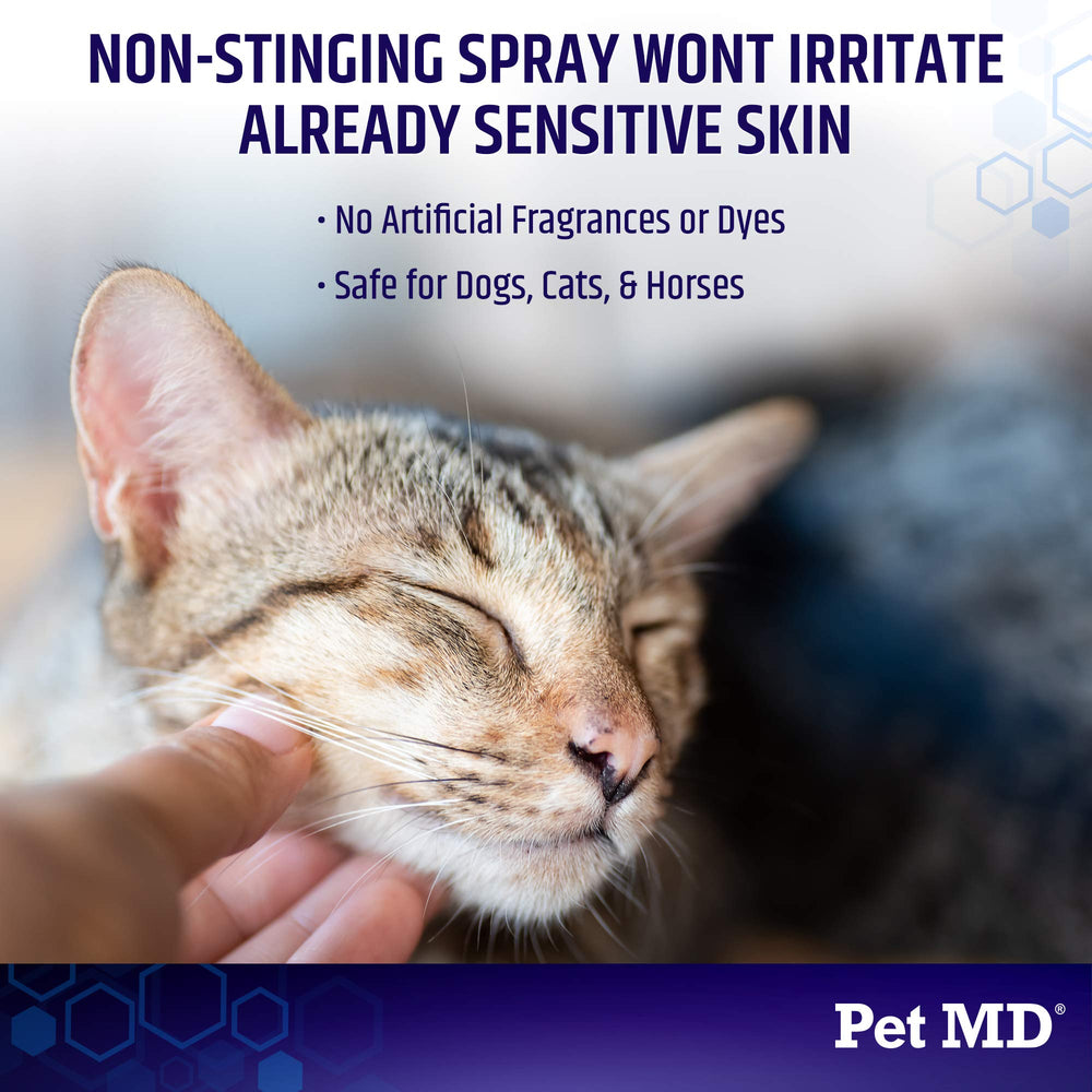Pet MD hydrocortisone spray on cat application provides gentle skin care.