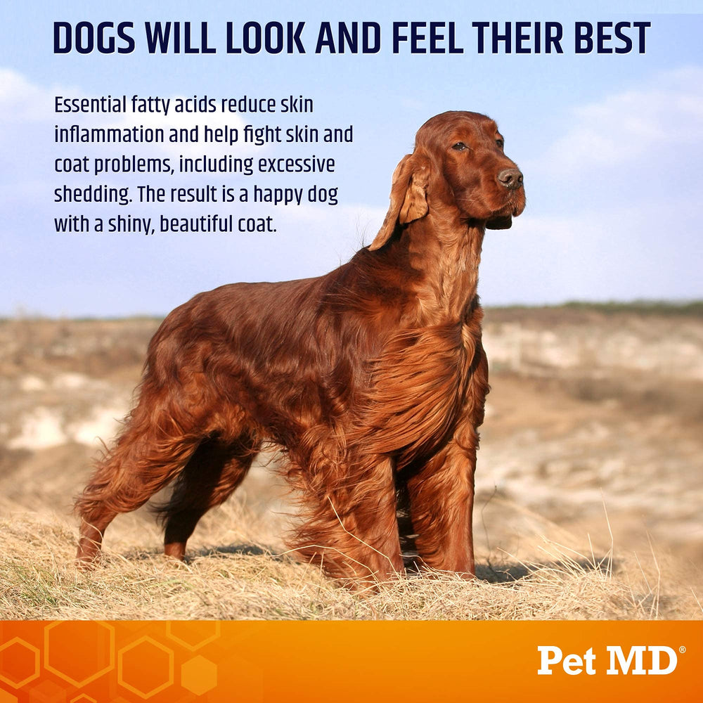 Pet MD Salmon Omega Bites, masticables con sabor sabroso para piel saludable y pelaje brilliante.