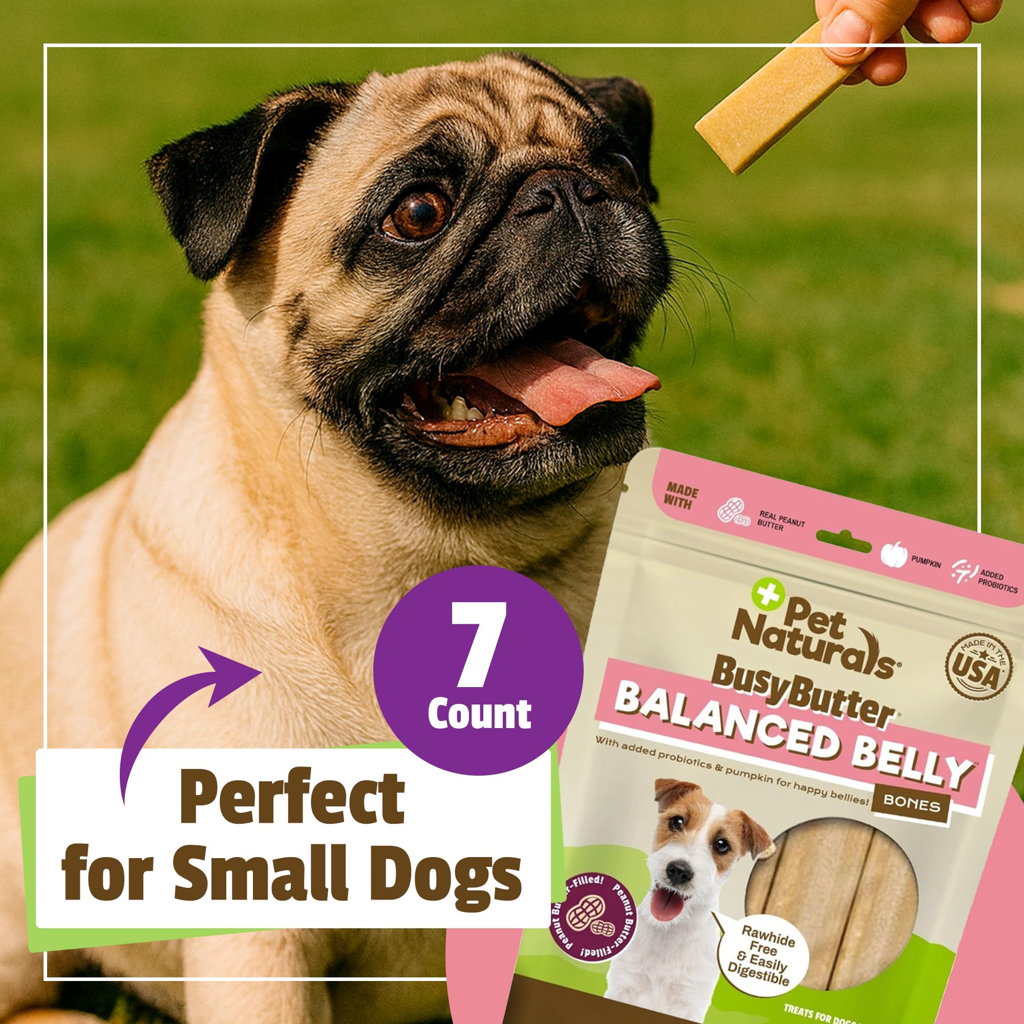 Pet Naturals BusyButter Huesos dentales para perros pequeños y digestivos.