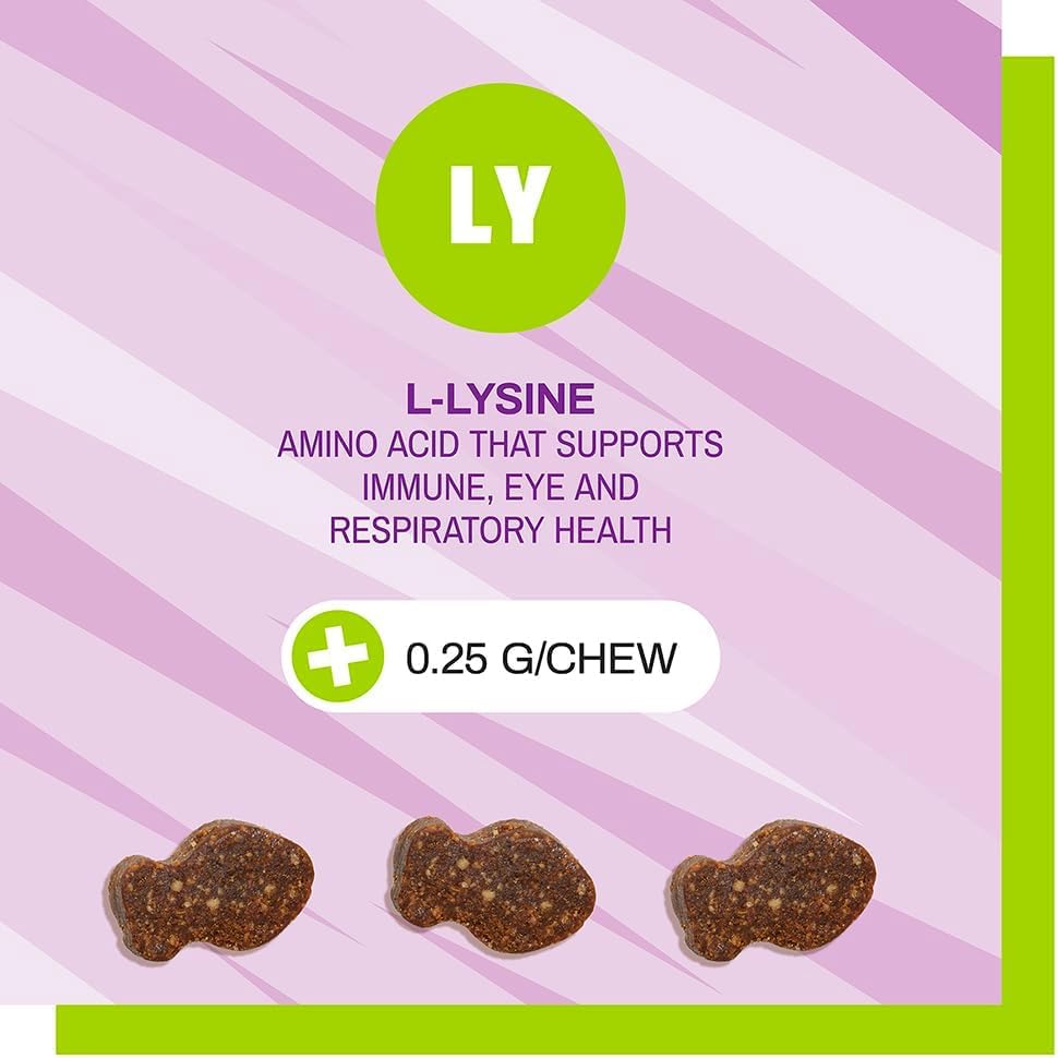 Gato disfrutando Pet Naturals Lysine para reforzar la inmunidad.