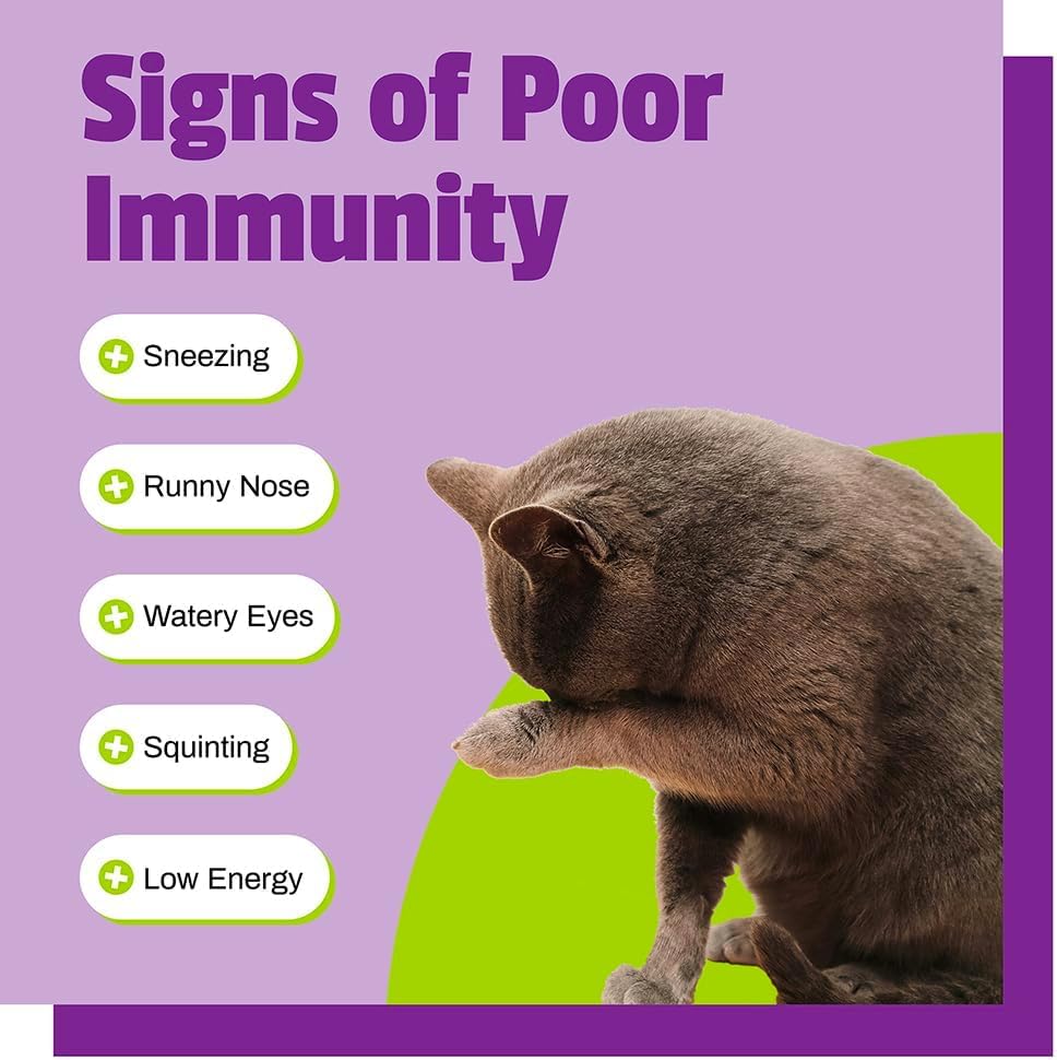 Pet Naturals Lysine para Gatos: ingredientes lisina sin trigo para gatos sensibles.