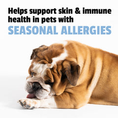 Pet Naturals Allergy Plus Calmante, quercetina y curcumina para respuesta histaminica.