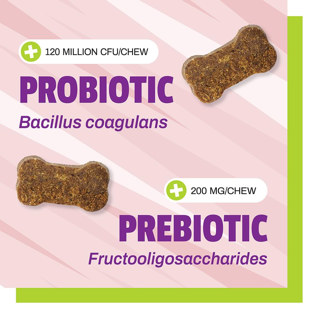 Pet Naturals Probiotics sin maíz ni trigo, fórmula limpia para perros de todas las edades.
