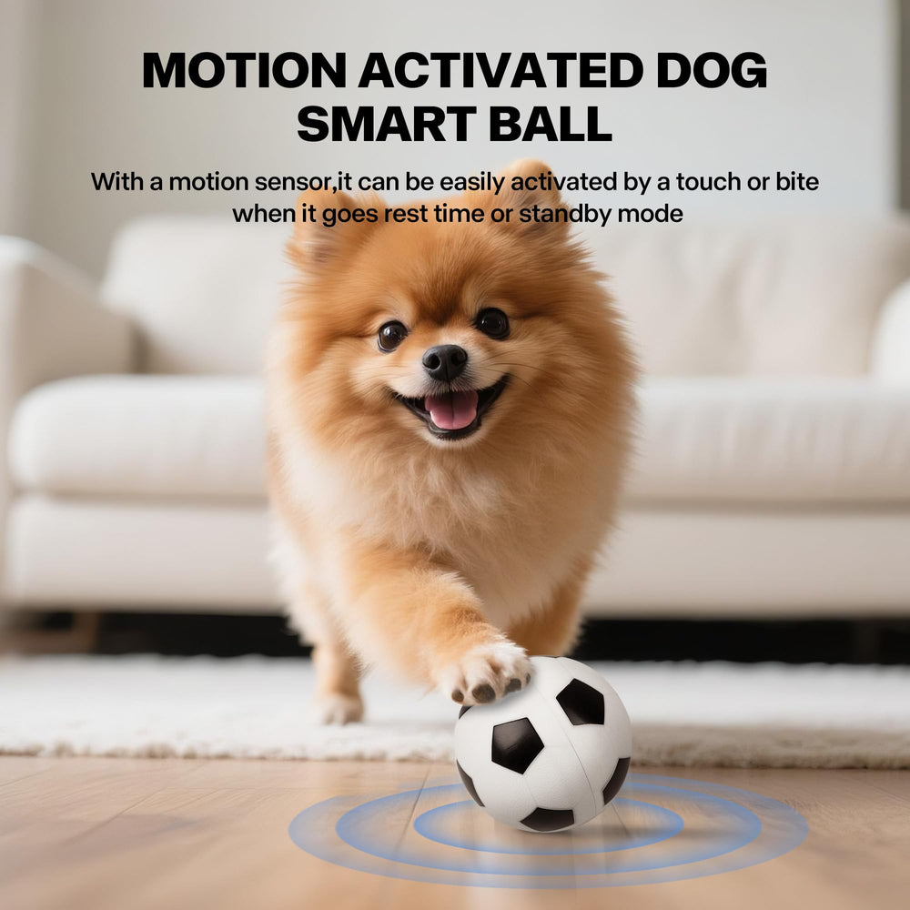 Pet Prime bola fácil de limpiar bajo agua
