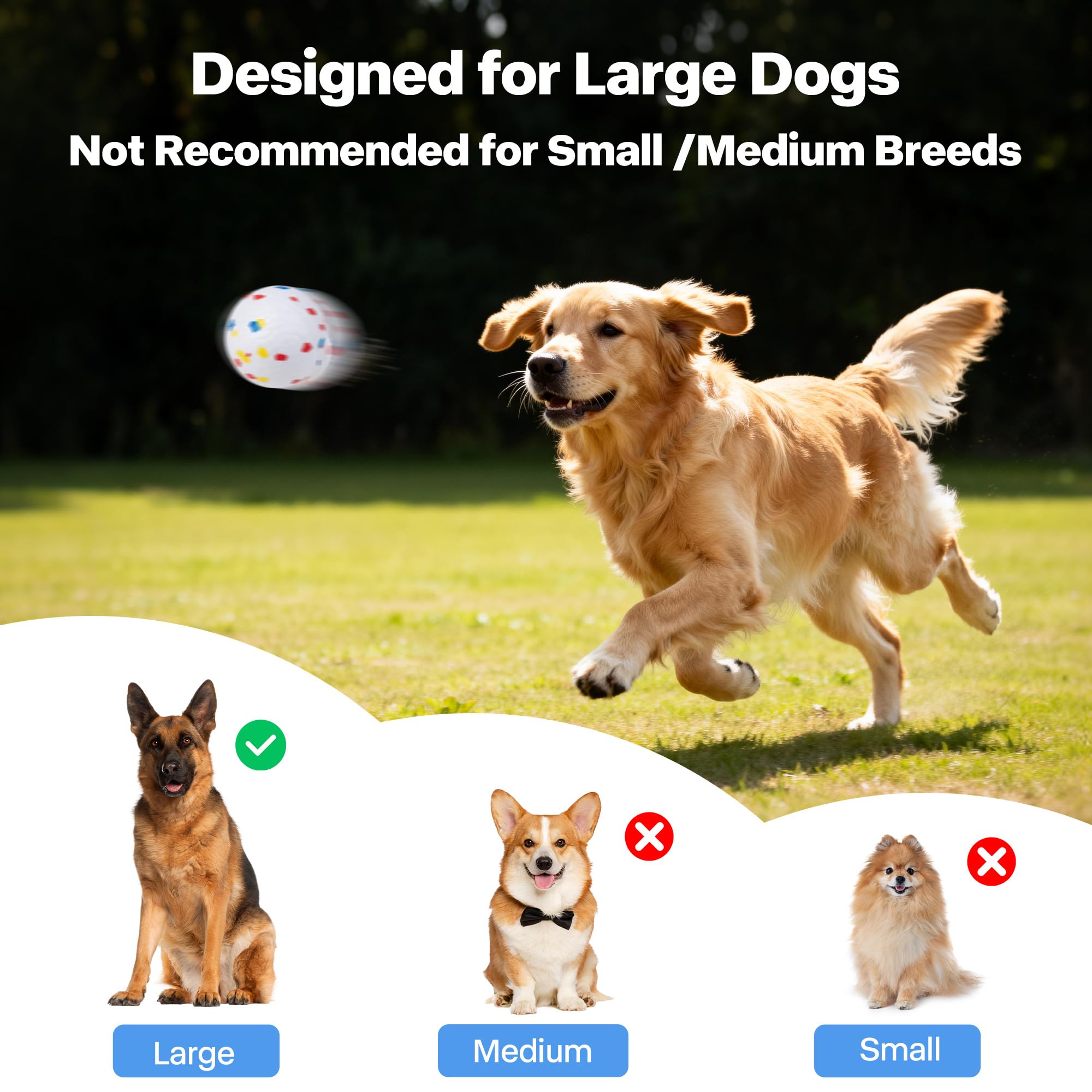 Pet Prime juego exterior al aire libre, diversión segura y física para tu perro.