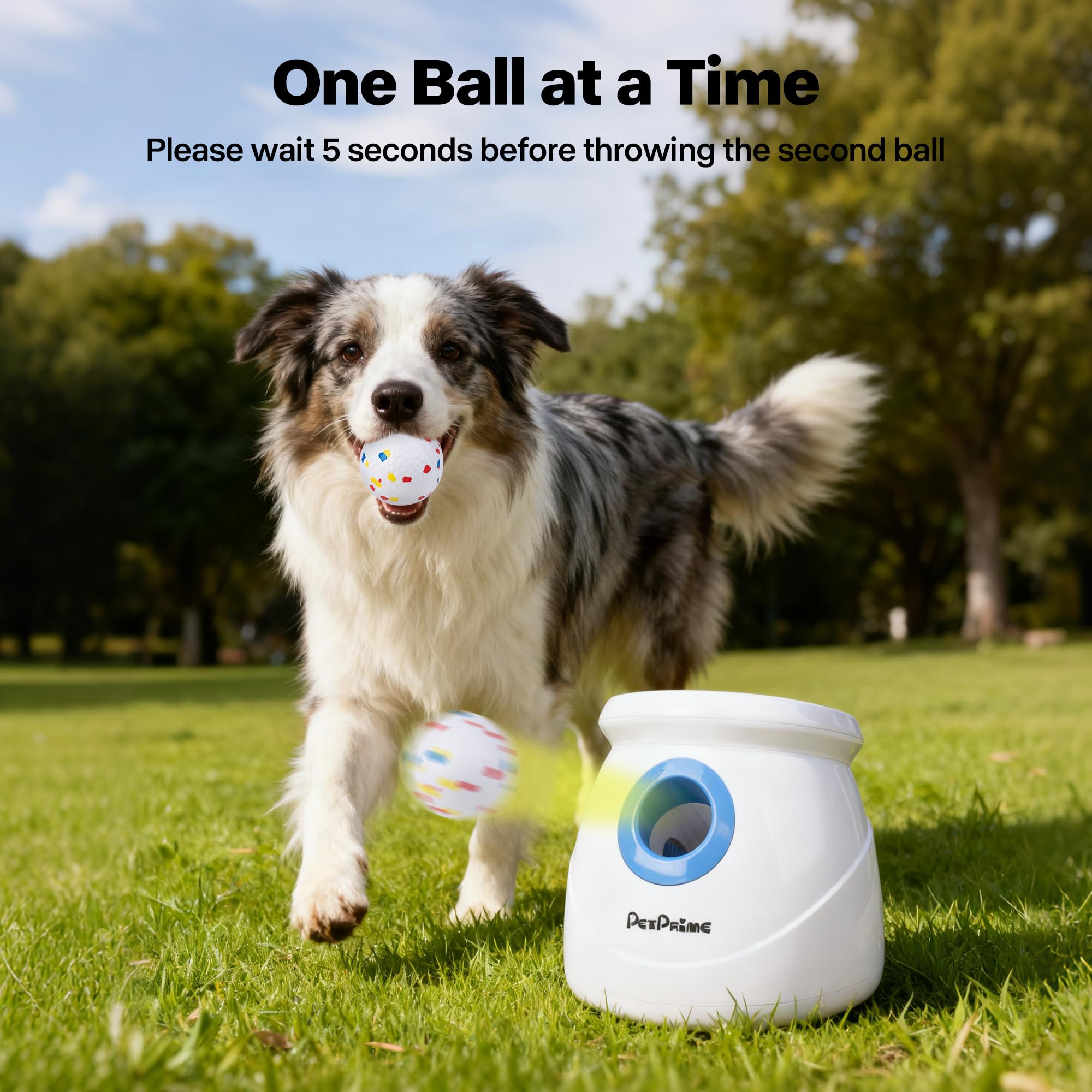 Pet Prime perro jugando con la pelota, estimula reflejos y entusiasmo diario.