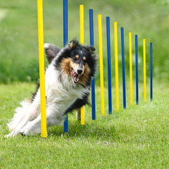 Pet Prime poste entrelazado, 12 unidades, muestra ajuste de distancia para entrenamiento