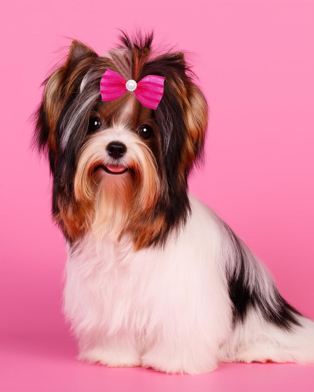 PET SHOW accesorios-pelo-mascotas-rosa práctico para grooming.