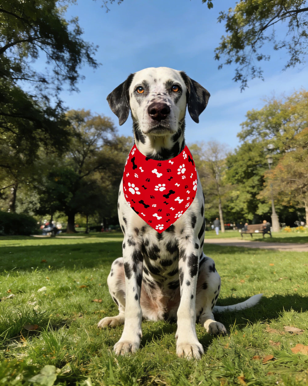 PET SHOW bandana como regalo o accesorio para fiestas de mascotas.