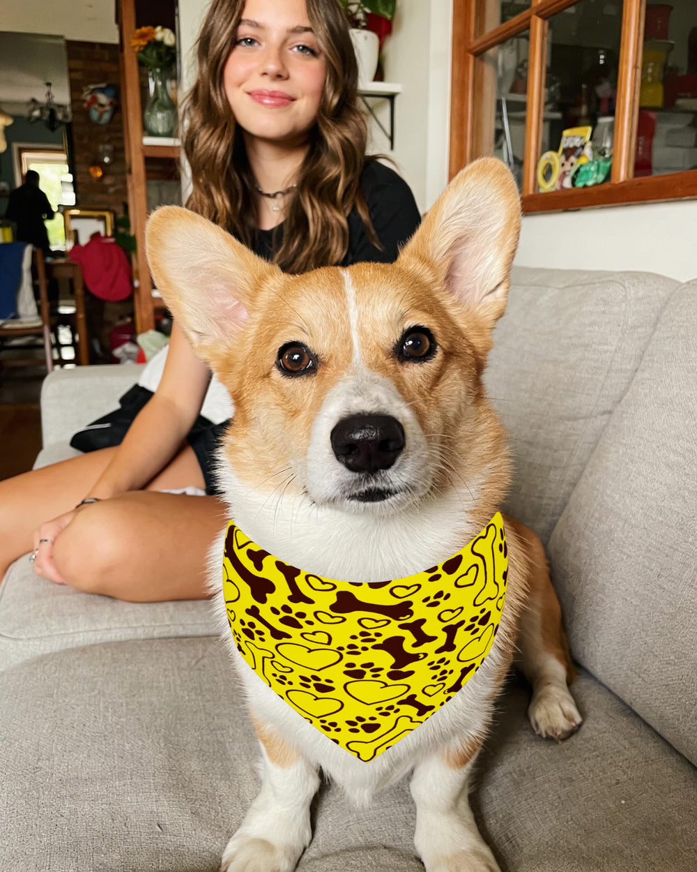 Ideal para fiestas y sesiones de fotos caninas PET SHOW.