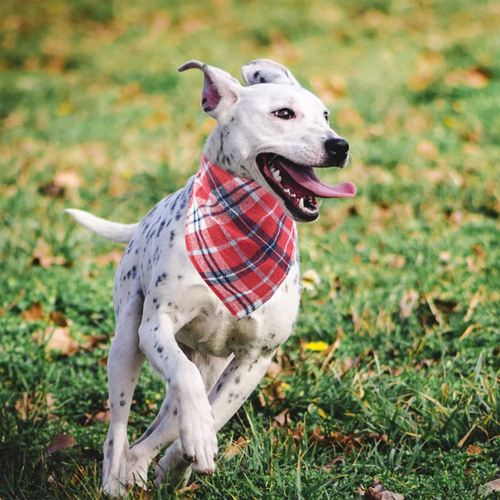 PET SHOW bandanas para mascotas, perfectas para eventos y días especiales.