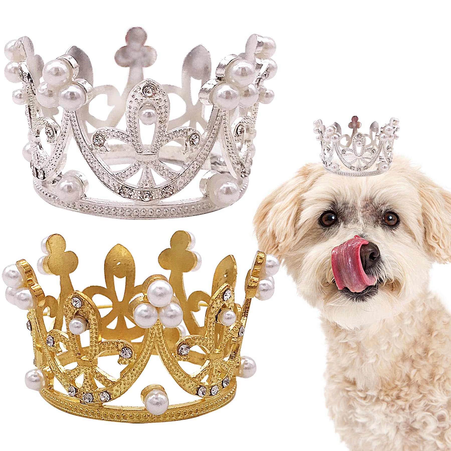 Corona PET SHOW tamaño mediano para perros medianos y grandes en eventos.