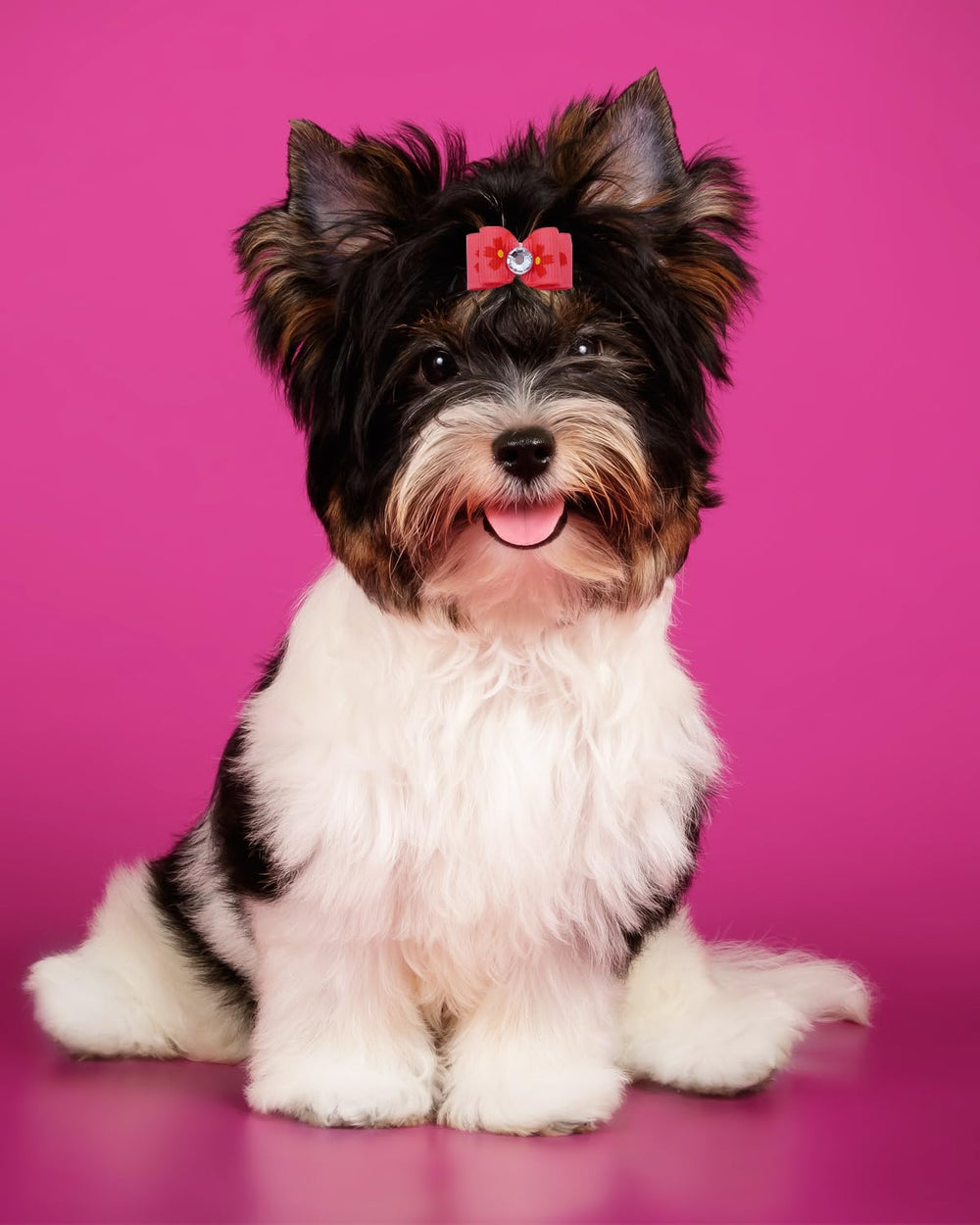 PET SHOW lazo-pelo-nudo-superior-rosa perfecto para moño superior.