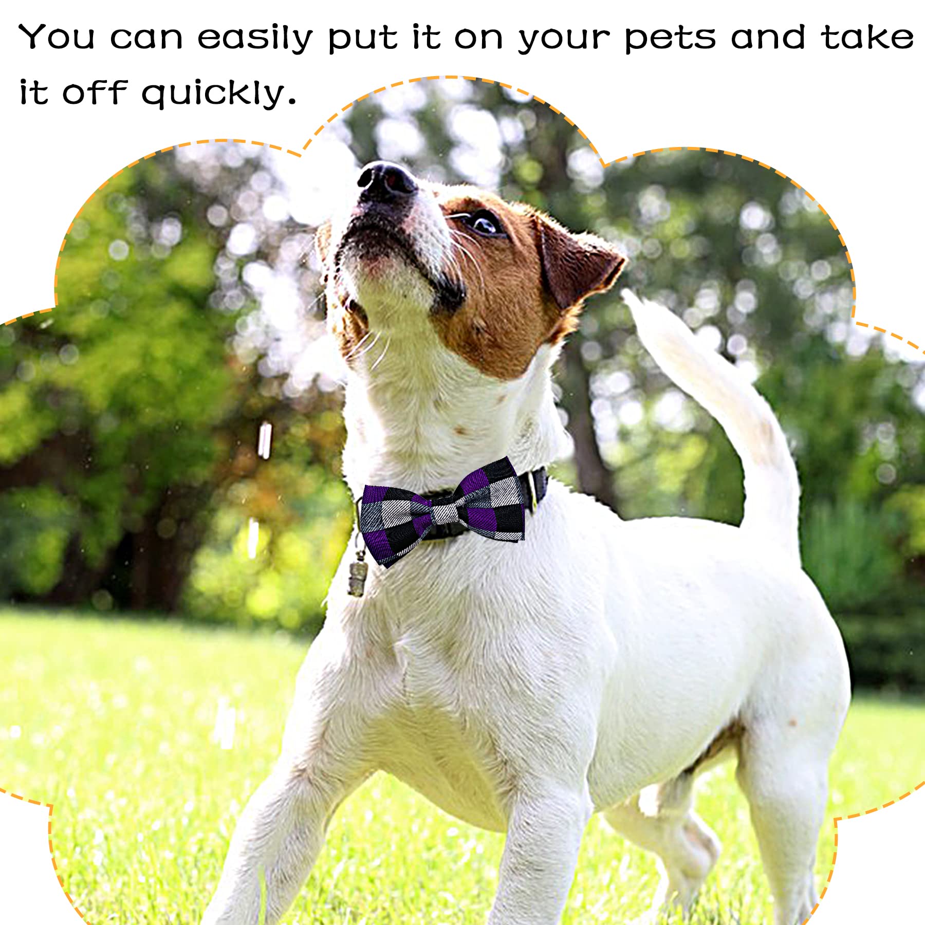 PET SHOW lazo puntos champán para collar, estilo discreto para eventos.