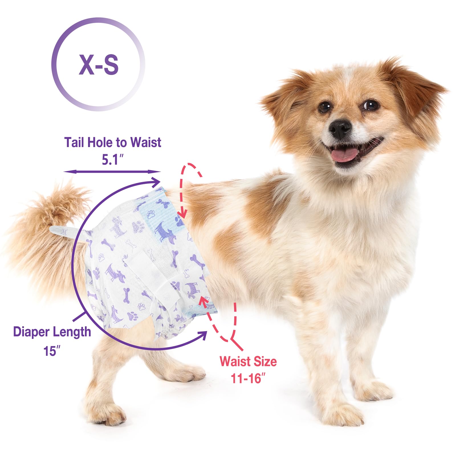 Capa exterior transpirable de Pet Soft para todas las estaciones.
