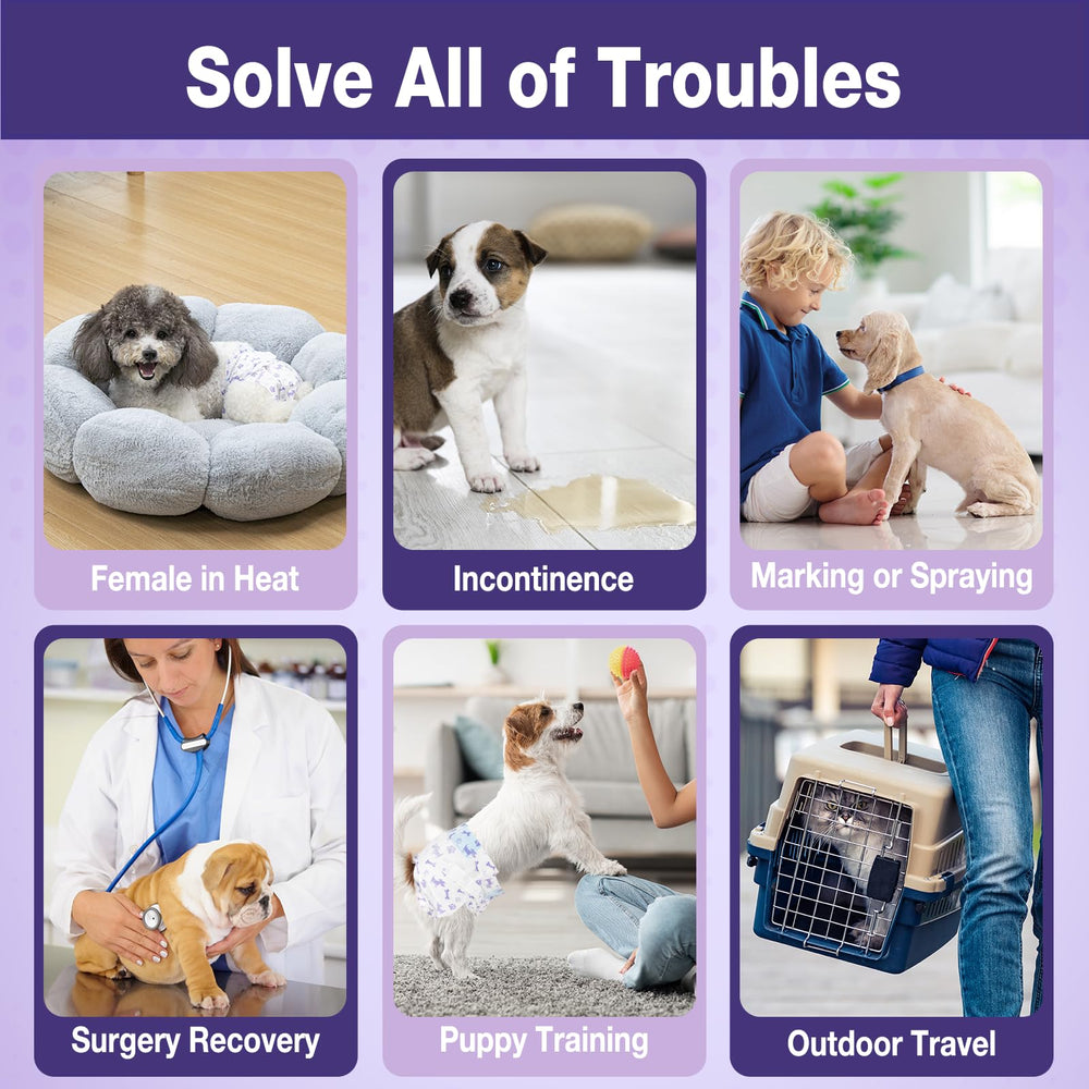 Pet Soft núcleo ultrabsorbente — protección contra fugas durante juego.