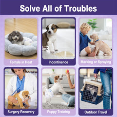 Pet Soft núcleo ultrabsorbente — protección contra fugas durante juego.