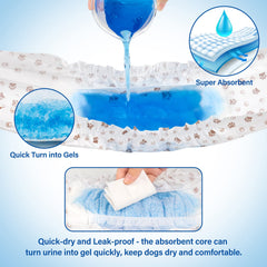 Núcleo ultra absorbente de Pet Soft para control rápido de pérdidas.