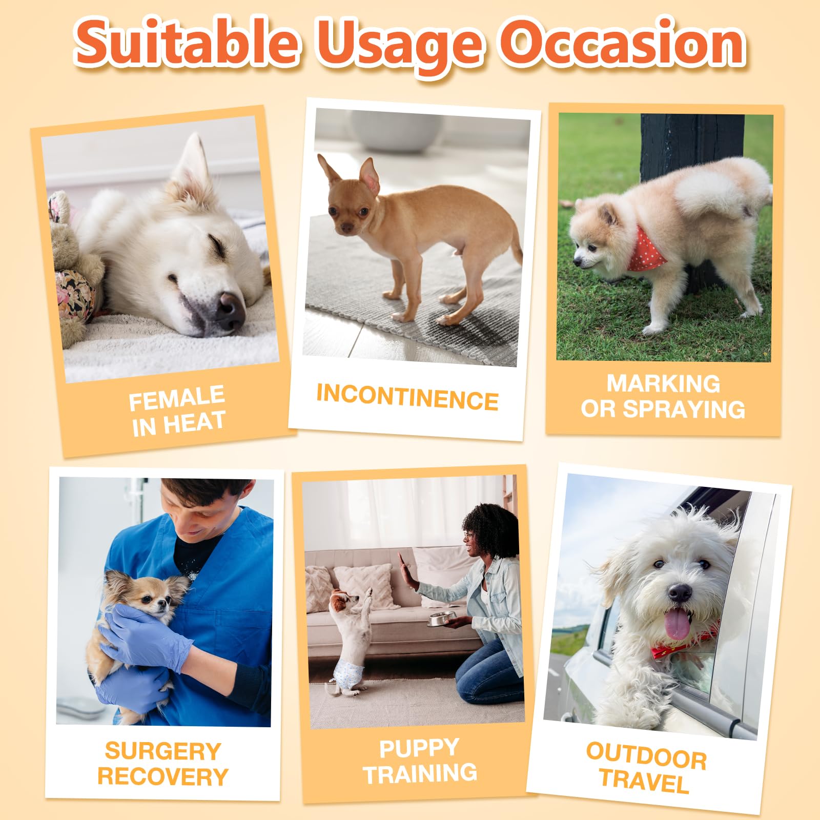 Pañales Pet Soft, ideal para cachorros en entrenamiento o hembras en calor.
