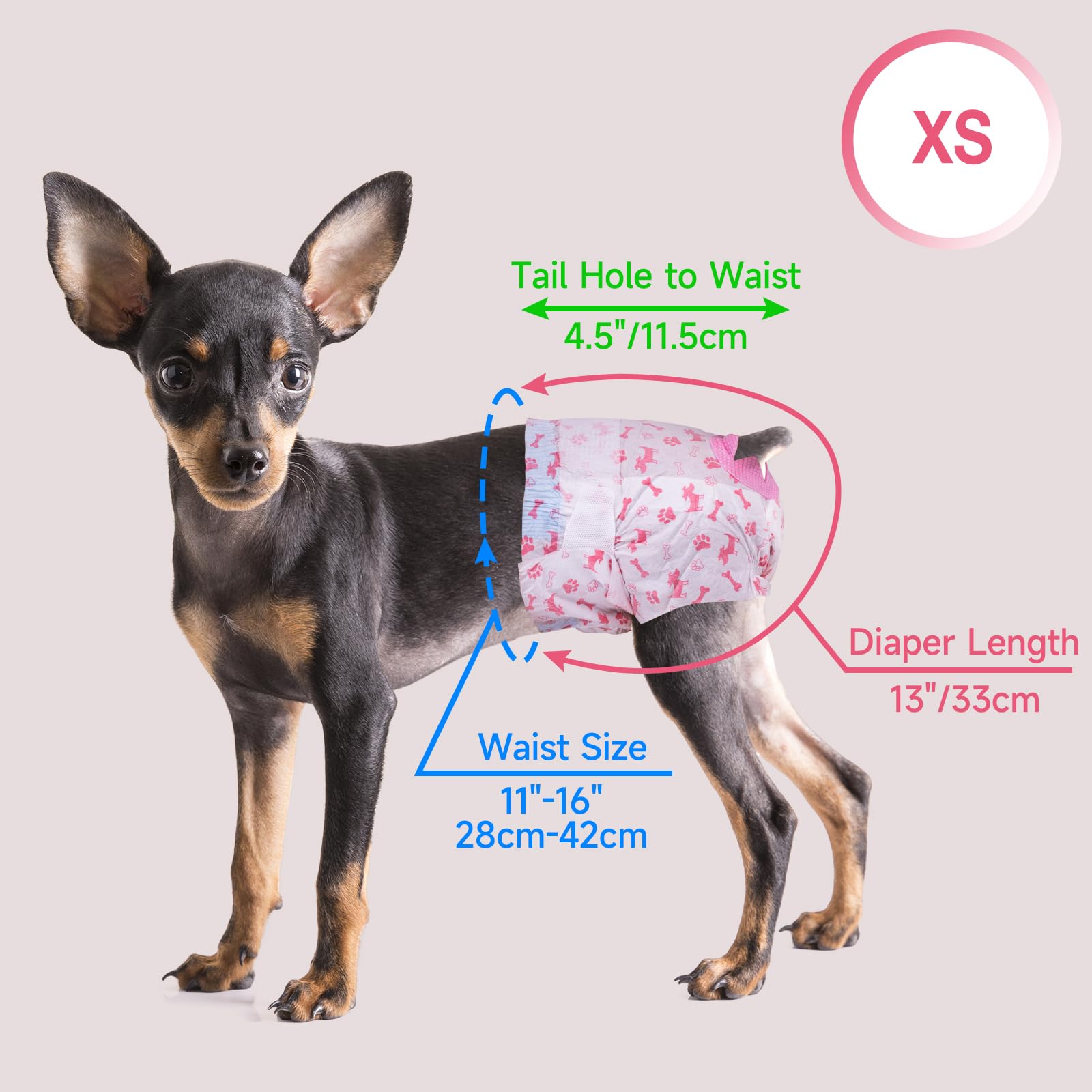 Patrón de diseño Pet Soft XS para perras en celo.