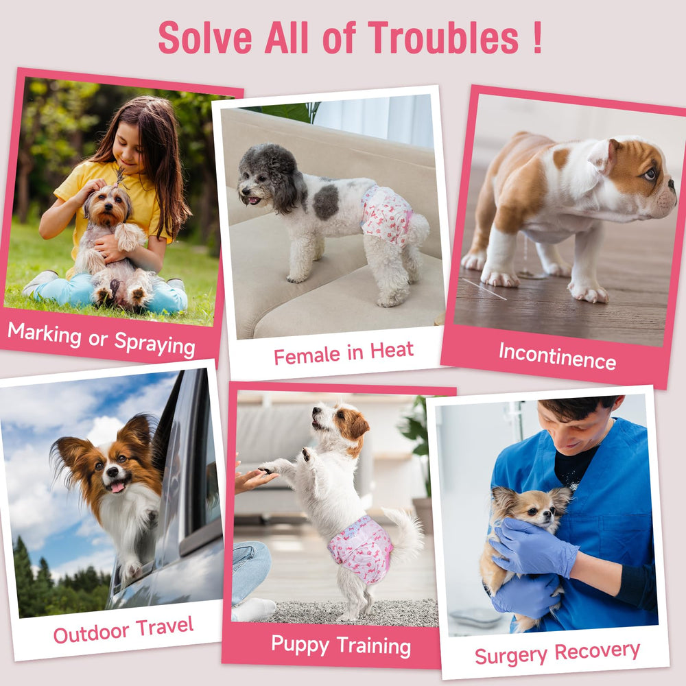 Capa externa transpirable Pet Soft para uso cómodo en todas las estaciones
