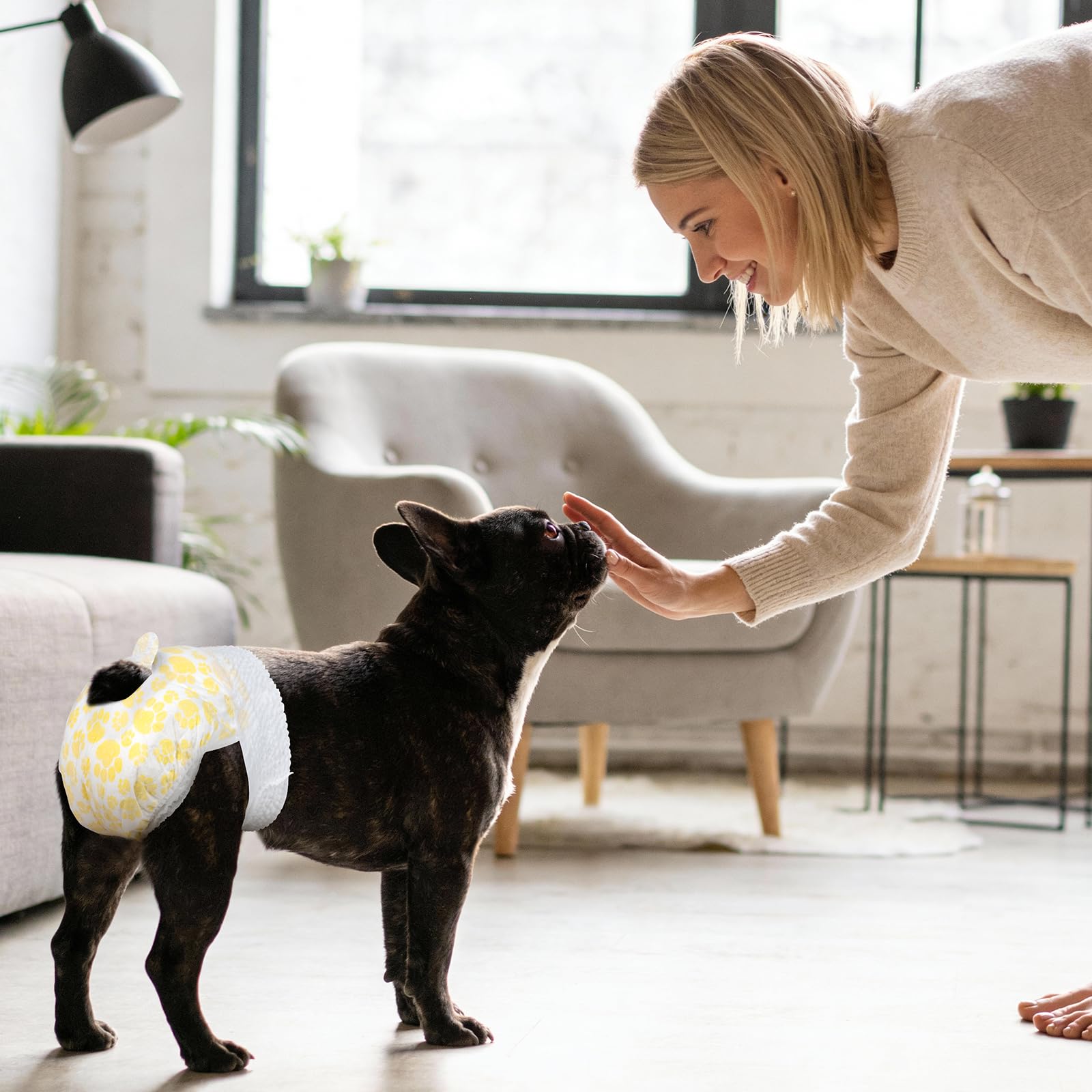 Pañales Pet Soft ideales para entrenamiento y viajes