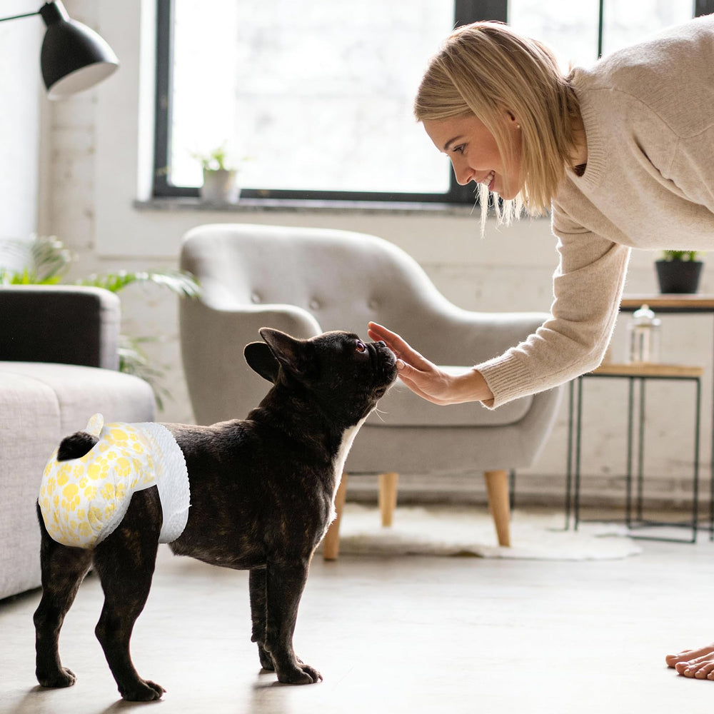 Pañales Pet Soft ideales para entrenamiento y viajes