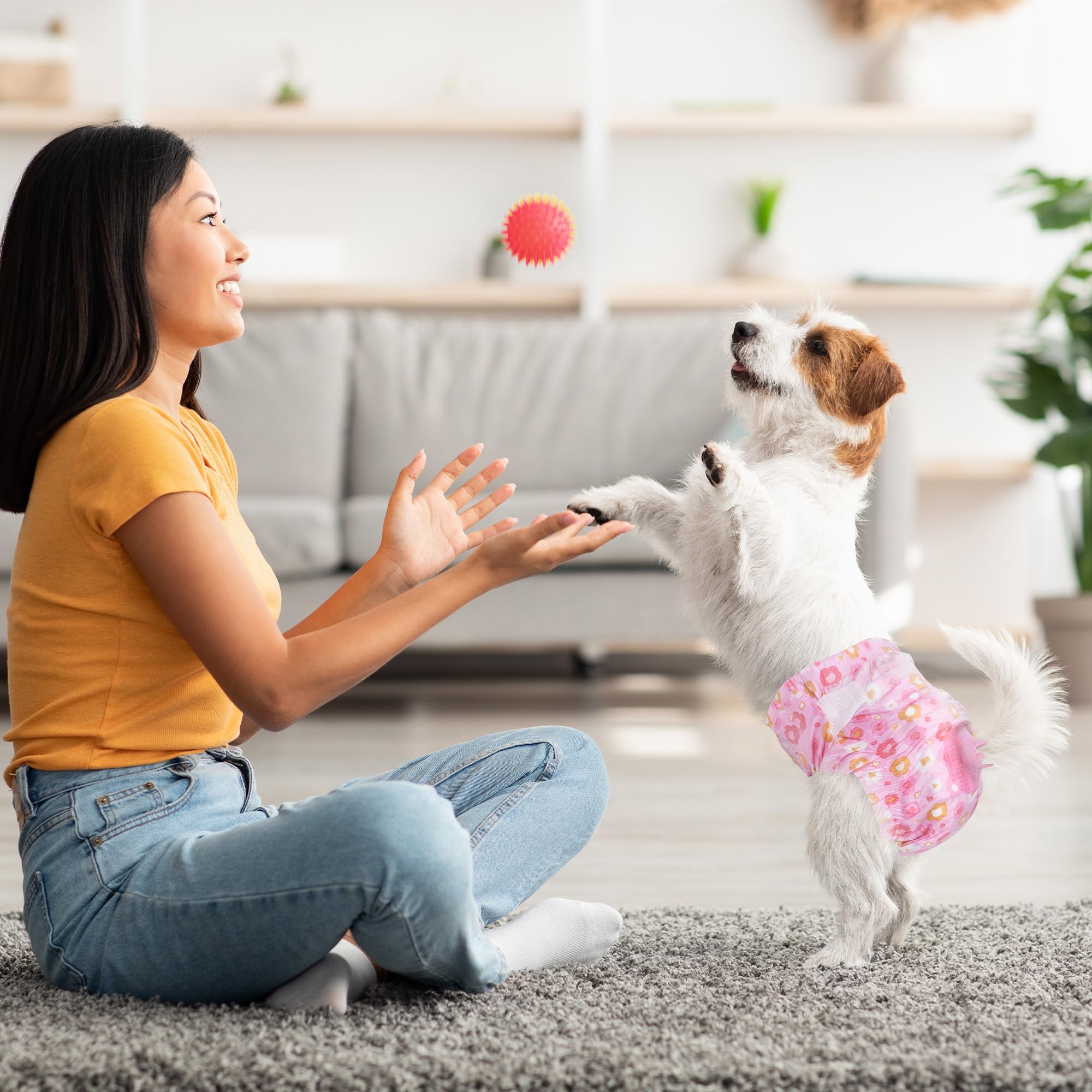 Pet Soft orificio de cola ajustable facilita comodidad específica.