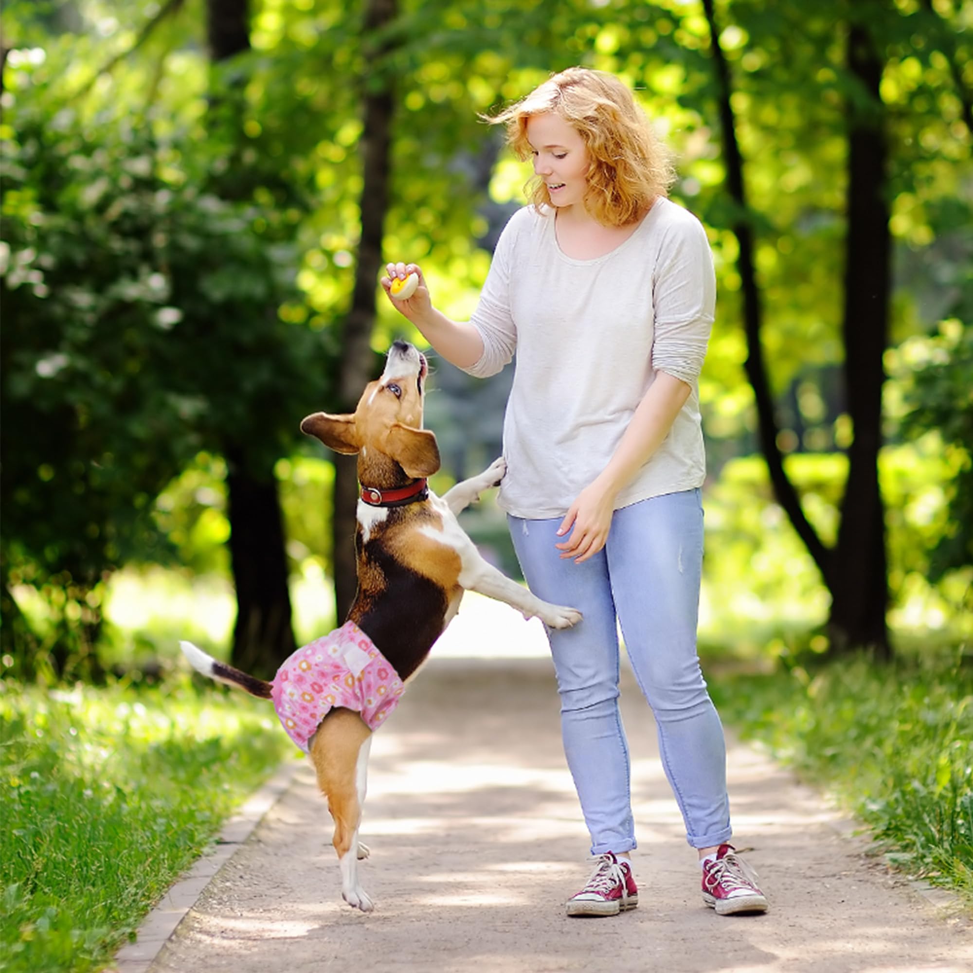 Pet Soft talla mediana, cintura 12–16 pulgadas para ajuste cómodo.
