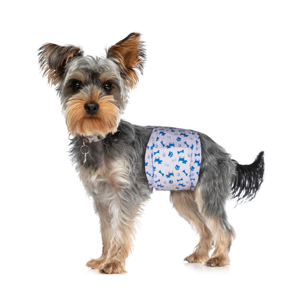 Panales Pet Soft para perro macho xsmall, comodidad duradera para días activos.
