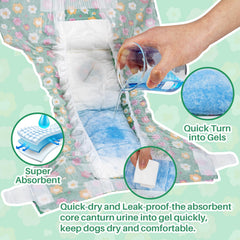 Núcleo ultra absorbente Pet Soft absorbe orina rápidamente para mayor confort.