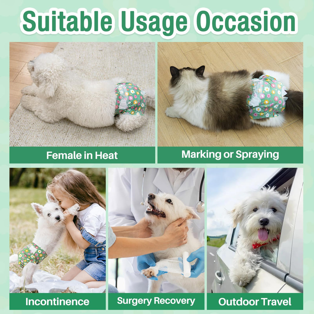 Protección anti fugas Pet Soft durante salidas y paseos.
