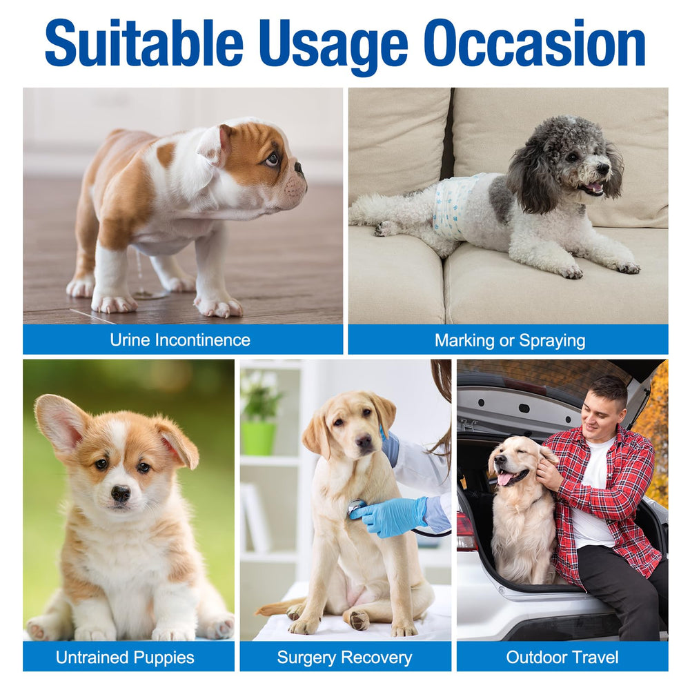 Pet Soft tres patrones diferentes añaden variedad sin perder funcionalidad.
