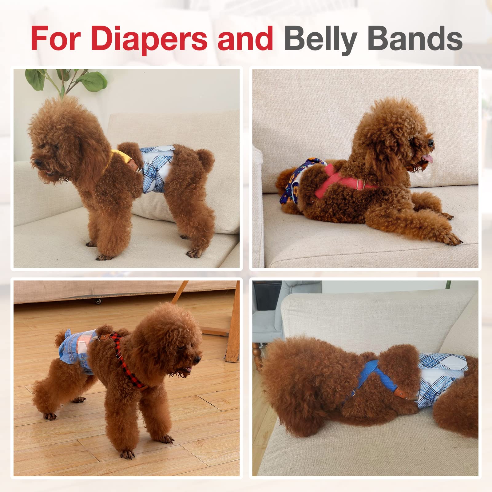 Pet Soft tirantes en acción durante paseo, opción práctica para ropa coordinada