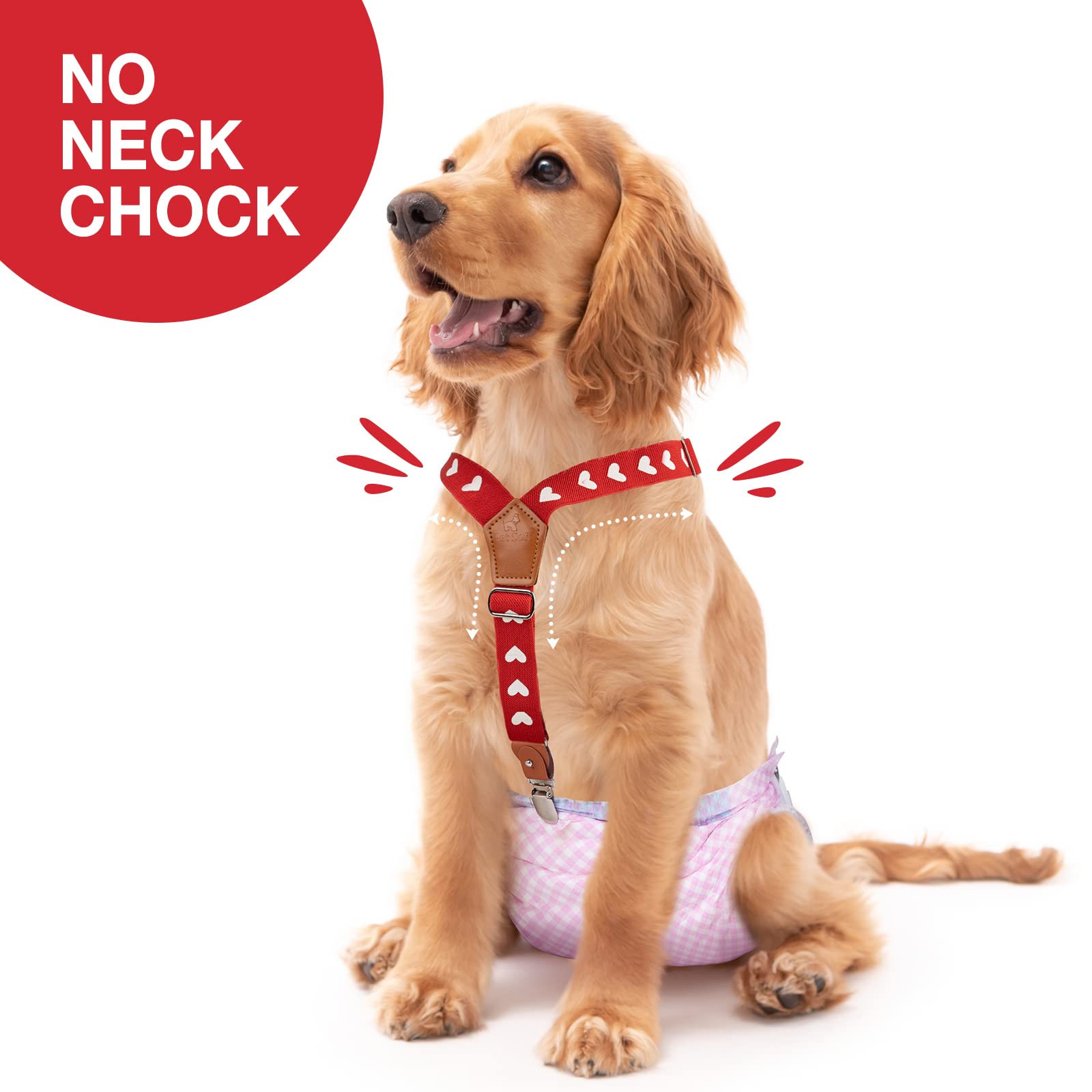Pet Soft sujetadores para perros sin estrangulamiento, diseño seguro y cómodo.