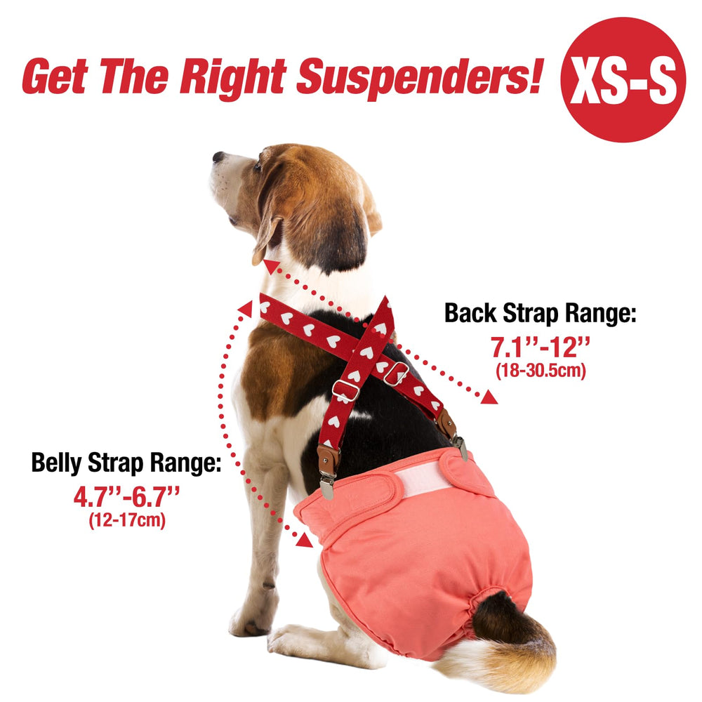 Suspensores Pet Soft clips metalicos reemplazables para mantenimiento fácil.