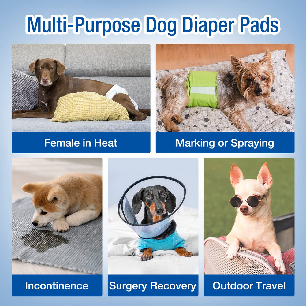 Pet Soft talla S para perros pequeños.