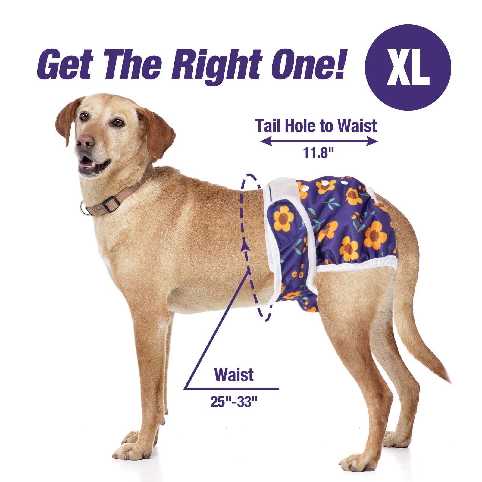 Pet Soft telas duraderas y lavables para uso diario.