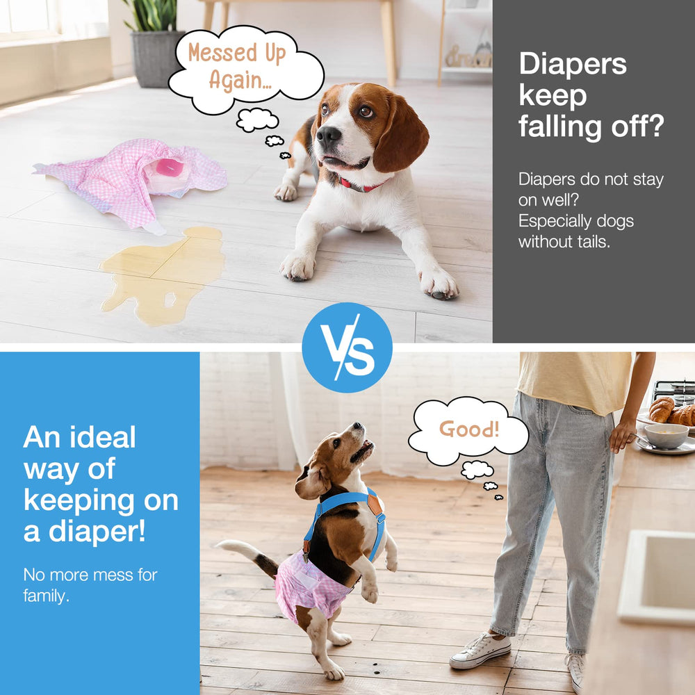 Pet Soft con clips metálicos intercambiables para un ajuste seguro.