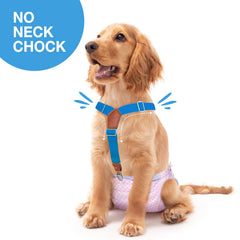 Pet Soft tirantes para perro: elásticos y suaves, evitan deslizamientos.