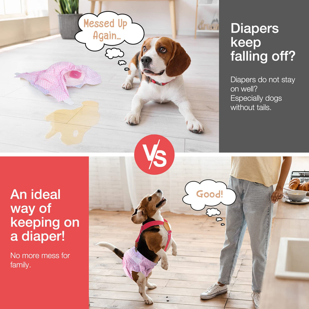 Pet Soft tirantes con ganchos metálicos, reemplazo fácil y seguro