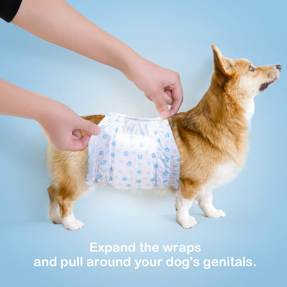 Uso diario o viaje con Pet Soft pañales para perro macho