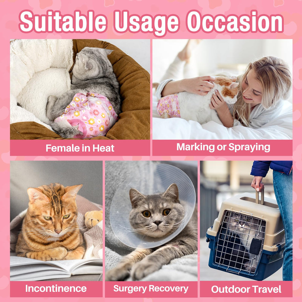 Uso diario o viaje con Pet Soft, práctico para mascotas.