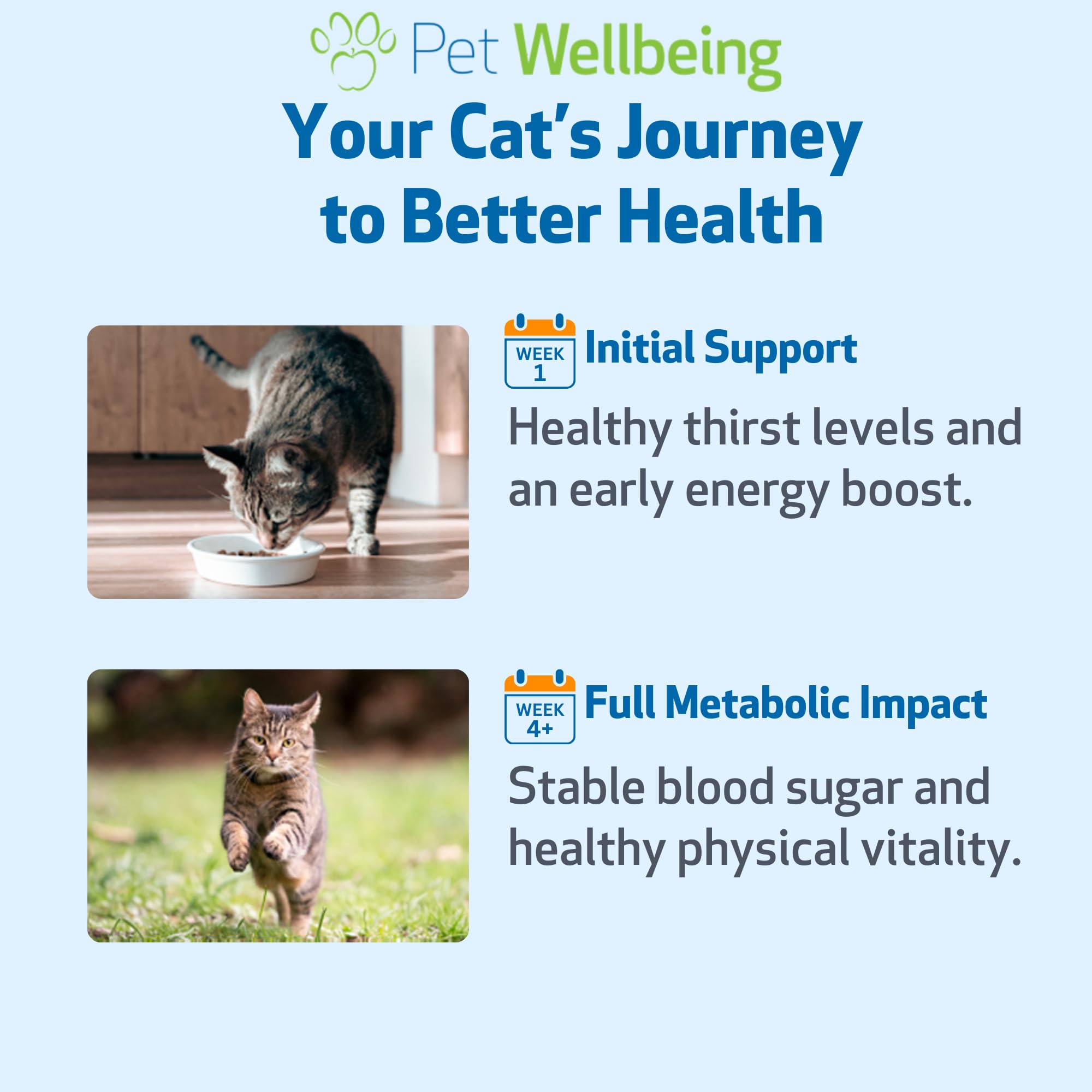 Pet Wellbeing Azúcar en Sangre Oro, salud hepática para gatos.